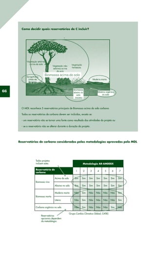 66
Como decidir quais reservatórios de C incluir?
O MDL reconhece 5 reservatórios principais de Biomassa acima do solo carbono.
Todos os reservatórios de carbono devem ser incluídos, exceto se:
- um reservatório não se tornar uma fonte como resultado das atividades do projeto ou
- se o reservatório não se alterar durante a duração do projeto.
 Metodologia AR-AM000X
Reservatório de
carbono
1 2 3 4 5 6 7
Biomassa viva
Acima do solo Sim Sim Sim Sim Sim Sim Sim
Abaixo no solo Sim Sim Sim Sim Sim Sim Sim
Biomassa morta
Madeira morta Não Sim Não Não Não Não Sim
Liteira Não Sim Não Não Não Não Sim
Carbono orgânico no solo Não Sim Não Não Não Sim Não
Todos projetos
incluem estes
Reservatórios
opcionais dependem
da metodologia
Grupo Cambio Climatico Global, CATIE)
Reservatórios de carbono considerados pelas metodologias aprovadas pelo MDL
 