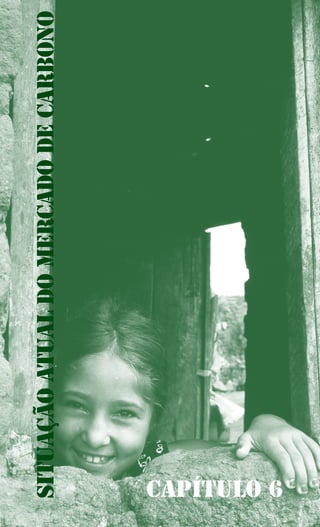 Situaçãoatualdomercadodecarbono
Capítulo 6
 