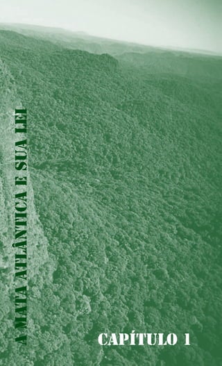 Capítulo 1
AMataAtlânticaesuaLei
 