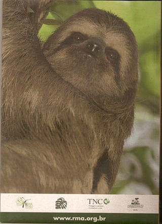 Cartilha A Mata Atlântica e sua Biodiversidade no Contexto da Mitigação das Mudanças Climáticas