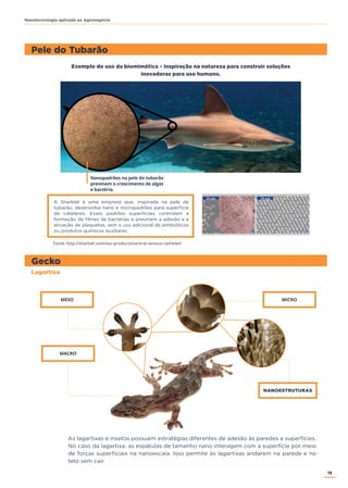 19
Nanotecnologia aplicada ao Agronegócio
Fonte: http://sharklet.com/our-products/central-venous-catheter/
Pele do Tubarão
Gecko
As lagartixas e insetos possuem estratégias diferentes de adesão às paredes e superfícies.
No caso da lagartixa, as espátulas de tamanho nano interagem com a superfície por meio
de forças superficiais na nanoescala. Isso permite às lagartixas andarem na parede e no
teto sem cair.
Lagartixa
Exemplo do uso da biomimética – inspiração na natureza para construir soluções
inovadoras para uso humano.
A Sharklet é uma empresa que, inspirada na pele de
tubarão, desenvolve nano e micropadrões para superfície
de cateteres. Esses padrões superficiais controlam a
formação de filmes de bactérias e previnem a adesão e a
ativação de plaquetas, sem o uso adicional de antibióticos
ou produtos químicos auxiliares.
NANOESTRUTURAS
 