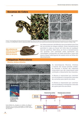 22
Nanotecnologia aplicada ao Agronegócio
Fontes: 7 Amazing Ways Animals Use Nanotechnology (http://discovermagazine.com/galleries/zen-photo/a/amazing-animal-nanostructures), Spinner, M., Kovalev,
A., Gorb, S. N., & Westhoff, G. (2013). Snake velvet black: hierarchical micro- and nanostructure enhances dark colouration in Bitis rhinoceros. Sci Rep 3: 1846
Escamas de Cobra
Máquinas Moleculares
As cobras possuem nanofibrilas que se projetam para fora
de sua escama em ângulo oblíquo. Essas nanoestruturas
permitem à cobra se mover em linha reta em qualquer
tipo de superfície. Além disso, as micro e nanoestruturas
nas escamas com coloração preta aprimoram sua
camuflagem, produzindo um preto profundo e vazio que
parece quase indistinguível do espaço entre as folhas em
decomposição.
As nanomáquinas Miosinas, Dineínas
e Actinas são nossoa grandes aliadas.
As Miosinas e Actinas são máquinas
moleculares que são responsáveis pela
contração e relaxamento dos músculos.
A Miosina é responsável por caminhar
em microtúbulos e transportar vesículas
de nutrientes para dentro da célula.
A Dineína é responsável por caminhar
em microtúbulos e transportar vesículas
de sujeira para fora da célula.
Microfibrilas de
400 nm de largura
posicionadas à
200 nm da pele
Miosina, Actina e Dineína
Fonte: Walker, M. L., Burgess, S. A., Sellers, J. R., Wang, F.,
Hammer, J. A., III, Trinick, J. and Knight, P. J. (2000). Two-
headed binding of a processive myosin to F-actin. Nature
405, 804-807.
Professor David
A Leigh FRS FRSE
http://www.
catenane.net/
Músculo
Relaxado
Músculo
Contraído
 