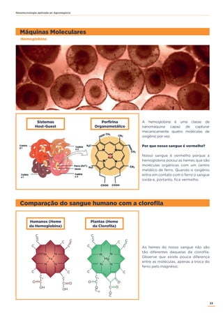23
Nanotecnologia aplicada ao Agronegócio
A hemoglobina é uma classe de
nanomáquina capaz de capturar
mecanicamente quatro moléculas de
oxigênio por vez.
Por que nosso sangue é vermelho?
Nosso sangue é vermelho porque a
hemoglobina possui as hemes que são
moléculas orgânicas com um centro
metálico de ferro. Quando o oxigênio
entra em contato com o ferro o sangue
oxida e, portanto, fica vermelho.
As hemes do nosso sangue não são
tão diferentes daquelas da clorofila.
Observe que existe pouca diferença
entre as moléculas, apenas a troca do
ferro pelo magnésio.
Máquinas Moleculares
Comparação do sangue humano com a clorofila
Hemoglobina
Humanos (Heme
da Hemoglobina)
Sistemas
Host-Guest
Plantas (Heme
da Clorofila)
Porfirina
Organometálico
C
C C
C
C
C
C
C
CO O
OH
N
N
N
N
Fe
OH
C2
C
C
C
C
C
C C
C
C
O
C
C
C
CO
OO
C20
N
N
N
N
Mg
O
C2
 