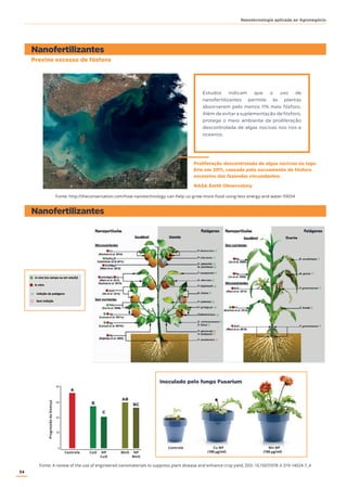 34
Nanotecnologia aplicada ao Agronegócio
Nanofertilizantes
Nanofertilizantes
Previne excesso de fósforo
Fonte: http://theconversation.com/how-nanotechnology-can-help-us-grow-more-food-using-less-energy-and-water-59034
Fonte: A review of the use of engineered nanomaterials to suppress plant disease and enhance crop yield, DOI: 10.1007/978-3-319-14024-7_4
Estudos indicam que o uso de
nanofertilizantes permite às plantas
absorverem pelo menos 11% mais fósforo.
Além de evitar a suplementação de fósforo,
protege o meio ambiente da proliferação
descontrolada de algas nocivas nos rios e
oceanos.
Proliferação descontrolada de algas nocivas no lago
Erie em 2011, causada pelo escoamento de fósforo
excessivo das fazendas circundantes.
NASA Earth Observatory
A
B
C
AB
BC
0
20
40
60
80
ProgressãodaDoença
Bulk
Controle
Controle
Bulk
NPNPCuO
Cu NP Mn NP
MnO
MnOCuO
(100 μg/ml) (100 μg/ml)
Inoculado pelo fungo Fusarium
 