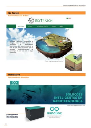 40
Nanotecnologia aplicada ao Agronegócio
Go Tratch
NanoAtiva
Nanorremediação de Solo
Preservação de Alimentos
Fonte: http://www.gotratch.com.br/
Fonte: http://www.nanoativa.com/
Nanocompósito
fotocalítico para
destacar a caixa
 