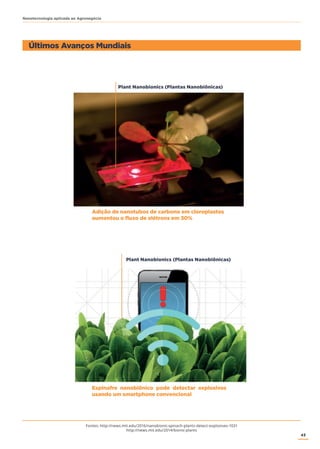 43
Nanotecnologia aplicada ao Agronegócio
Últimos Avanços Mundiais
Fontes: http://news.mit.edu/2016/nanobionic-spinach-plants-detect-explosives-1031
http://news.mit.edu/2014/bionic-plants
Adição de nanotubos de carbono em cloroplastos
aumentou o fluxo de elétrons em 30%
Espinafre nanobiônico pode detectar explosivos
usando um smartphone convencional
Plant Nanobionics (Plantas Nanobiônicas)
Plant Nanobionics (Plantas Nanobiônicas)
 