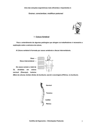 Uma das soluções ergonômicas mais eficientes e importantes é:


                         Ensinar, conscientizar, modificar posturas!




                                  I - Coluna Vertebral


      Para o entendimento de algumas patologias que atingem os trabalhadores é necessária a
explicação sobre a estrutura da coluna.


      A Coluna vertebral é formada por ossos vertebrais e discos intervertebrais.




                             Osso →
           Disco Intervertebral →


      Os ossos somam o total de
33,     divididos      em     coluna
cervical    (Pescoço),       torácica
(Meio da coluna), lombar (Antes do bumbum), sacral e coccixígena (Pélvica, no bumbum).




                            Cartilha de Ergonomia – Orientações Posturais                3
 
