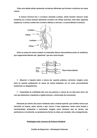 Cada uma destas partes apresenta curvaturas diferentes que formam a estrutura da nossa
coluna.


       A Coluna Cervical tem a curvatura chamada Lordose, tendo formato côncavo (mais
fundinho), já a coluna torácica apresenta curvatura em Cifose (convexa, mais alta), seguindo
seqüência, a coluna Lombar tem curvatura idêntica a cervical, e a sacral idêntica à torácica.



                   Lordose

                Cifose


                     Lordose


                    Cifose


   Entre os ossos da coluna existem os chamados discos intervertebrais (entre as vértebras),
que vulgarmente falando são “geleinhas” que tem como função:




                                                               Disco Intervertebral




   •      Absorver o impacto sobre a coluna (ex: quando pulamos, corremos; imagine como
seria se quando pulássemos os ossos da coluna batessem um no outro, provavelmente
quebrariam ou desgastariam),


   •      Capacidade de mobilidade (faz com que giremos a coluna de um lado para outro, faz
com que abaixemos, impedindo a rigidez articular, a diminuição de movimento).




   Passando por dentro dos ossos vertebrais está a medula espinhal, que ramifica nervos que
inervarão os braços, mãos, pernas e pés, tronco e todo organismo, tendo como função a
movimentação, produzirão o movimento. Imagine como seríamos sem os nervos, nós
perderíamos o movimento, se quiséssemos fechar as mãos, por exemplo, não conseguiríamos.




                  Patologias mais comuns da Coluna Vertebral



                         Cartilha de Ergonomia – Orientações Posturais                          4
 