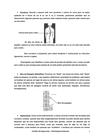 •    Escoliose: Quando a pessoa está com escoliose a coluna se curva para os lados,
podendo ter a forma de um S ou um C ou C invertido, poderemos perceber isso se
observarmos algumas pessoas que parecem estar andando tortas, parecem estar caindo para
um dos lados.




       Coluna torta para o lado




               Se olhe em frente ao
espelho, observe se seus ombros estão alinhados, em linha reta ou se um está mais elevado
que o outro.


               Esta curvatura é prejudicial, pois estará atingindo e machucando os músculos,
ligamentos, nervos e órgãos.


         Empregados que trabalham a maior parte da jornada de trabalho com o corpo curvado
para o lado ou que carregue peso apenas de um lado podem apresentar este tipo de desvio.




   •    Bico de Papagaio (Osteófitos): Forma-se um “dente” nos ossos da coluna, este “dente”
pode ser pequeno ou grande, o que ajudará a determinar a gravidade do problema, este poderá
se localizar em apenas um lugar do osso ou em vários lugares, como também em vários ossos
da coluna vertebral. Este “dentinho” fisga os nervos, machuca os nervos; por isso a pessoa
que está com Bico de papagaio reclama de sentir uma queimação, fisgadas, dormências,
formigamentos.




                                                       Bico de papagaio




   •    Hiperlordose: Como vimos anteriormente, a coluna cervical e lombar são formadas pela
curvatura Lordose, quando esta está exageradamente formada (curvada demais para dentro)
dissemos que há uma hiperlordose (um fundo bem grande), comum em pessoas que se
curvam com o pescoço para frente, como por exemplo, para ler algo ou ver algo no
computador, como também em pessoas que “arrebitam” o bumbum por costume em manter

                        Cartilha de Ergonomia – Orientações Posturais                      5
 