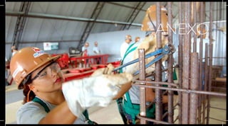 ANEXO




Plano Nacional de Segurança e Saúde no Trabalho | 17
 