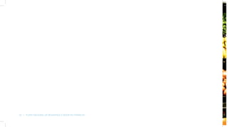 22  |  Plano Nacional de Segurança e Saúde no Trabalho
 