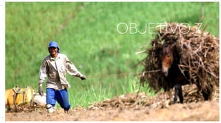 OBJETIVO 7




  Plano Nacional de Segurança e Saúde no Trabalho | 47
 