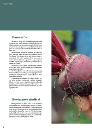 6
Plano safra
No Plano safra são estabelecidas diretrizes,
metas e recursos financeiros para o financiamen-
todaproduçãoagropecuárianopaís.Eleélançado
anualmente pelo governo Federal e normalmente
passam a ter validade a partir do dia 1º de julho de
cada ano.
Desta forma, o objetivo principal do Plano Sa-
fra é oferecer suporte financeiro aos agricultores
familiares, visando aumentar a produção e a pro-
dutividade do setor agropecuário, promover o
desenvolvimento rural e garantir a segurança ali-
mentar da população, incentivo a permanência do
jovem no campo.
Ele é muito importante, pois envolve diversas
linhasdecrédito,programaseaçõesvoltadaspara
a agricultura familiar.
No Plano Safra, são definidas taxas de juros,
limites de financiamento, prazos de pagamento e
condições específicas para cada cultura ou ativi-
dade agropecuária.
Cabe destacar que além do crédito rural, o Pla-
no Safra também contempla medidas de assis-
tência técnica, seguro agrícola, comercialização,
pesquisa, infraestrutura rural, entre outros as-
pectos relacionados ao desenvolvimento do setor
agropecuário.
Movimento sindical
O lançamento do Plano Safra é um momento
importante para o movimento sindical, que par-
ticipa ativamente das reuniões e planejamentos,
levando em consideração as demandas dos agri-
cultores familiares. Por meio do PRONAF, os agri-
cultores familiares têm a oportunidade de acessar
recursosfinanceirosparainvestiremsuasativida-
des produtivas e planejar suas safras.
PLANO SAFRA
 