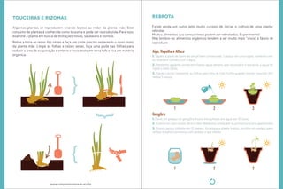 touceiras e rizomas 
Algumas plantas se reproduzem criando brotos ao redor da planta mãe. Este 
conjunto de plantas é conhecida como touceira e pode ser reproduzida. Para isso, 
examine a planta em busca de brotações novas, saudáveis e bonitas. 
Reire a terra ao redor das raízes e faça um corte preciso separando o novo broto 
da planta mãe. Limpe as folhas e raízes secas, faça uma poda nas folhas para 
reduzir a área de evaporação e enterre o novo broto em terra fofa e rica em matéria 
orgânica. 
www.compostasaopaulo.eco.br 
rebrota 
rebrotar. 
Muitos alimentos que consumimos podem ser rebrotados. Experimente! 
Mas lembre-se: alimentos orgânicos tendem a ser muito mais “vivos” e fáceis de 
reproduzir. 
Aipo, Repolho e Alface 
1. S epare a parte de baixo de um pé bem conservado. Coloque em uma igela, somente com 
as raízes em contato com a água. 
2. Mantenha a planta úmida borrifando água sempre que necessário e trocando a água da 
igela a cada 3 dias. 
3. Plante o broto mantendo as folhas para fora do solo. Colha quando esiver crescida. Em 
média 5 meses. 
1 2 3 
Gengibre 
1. Deixe um pedaço de gengibre fresco mergulhado em água por 12 horas. 
2. Enterre em solo úmido, féril e fofo. Mantenha úmido até os primeiros brotos aparecerem. 
3. Pronta para a colheita em 12 meses. Arranque a planta inteira, escolha um pedaço para 
uilizar e repita o processo com pedaço o que sobrar. 
1 2 3 
 
