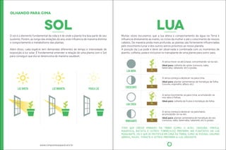 olhando para cima 
sol 
O sol é o elemento fundamental da vida e é de onde a planta ira boa parte de seu 
sustento. Porém, ao longo das estações do ano, este inluencia de maneira disinta 
o comportamento e metabolismo das plantas. 
Além disso, cada espécie tem demandas diferentes de tempo e intensidade de 
exposição à luz solar. É fundamental entender a relação de uma planta com o Sol 
para conseguir que ela se desenvolva de maneira saudável. 
LUZ DIRETA LUZ INDIRETA POUCA LUZ 
www.compostasaopaulo.eco.br 
lua 
Muitas vezes escutamos que a lua altera o comportamento da água na Terra e 
inluencia diretamente as marés, os ciclos da mulher e até o crescimento de nossos 
cabelos. De maneira ainda mais profunda, as plantas são fortemente inluenciadas 
pelo movimento lunar e dos outros astros próximos ao nosso planeta. 
A posição da Lua pode e deve ser observada e combinada com os momentos de 
planio, colheita, poda e inclusive no transplante de uma planta para outro vaso. 
LUA NOVA 
A seiva move-se até à base, concentrando-se na raíz. 
Ideal para: colheita de raízes (cenoura, nabo, 
beterraba, rabanete, etc) e podas. 
CRESCENTE 
A seiva começa a deslocar-se para cima. 
Ideal para: plantar sementeiras de hortaliças de folha 
(couves, espinafre, alface, etc) 
LUA CHEIA 
A seiva movimenta-se para cima, acumulando-se 
nos talos e folhas. 
Ideal para: colheita de frutos e hortaliças de folha. 
MINGUANTE 
A seiva começa a deslocar-se para baixo, 
acumulando-se na raíz. 
Ideal para: plantar sementeira de hortaliças de raíz 
(cenoura, nabo, beterraba, rabanete, etc) e podas. 
TUDO QUE CRESCE EMBAIXO DA TERRA (COMO O ALHO, CENOURA, CEBOLA, 
MANDIOCA, BATATA E OUTROS TUBÉRCULOS) PREFEREM SER PLANTADOS NA LUA 
MINGUANTE. JÁ O QUE SE FRUTIFICA EM CIMA DA TERRA, COMO AS FOLHAS, LEGUMES 
AÉREOS, MILHO, TOMATE E OUTROS PREFEREM A LUA CRESCENTE. 
 
