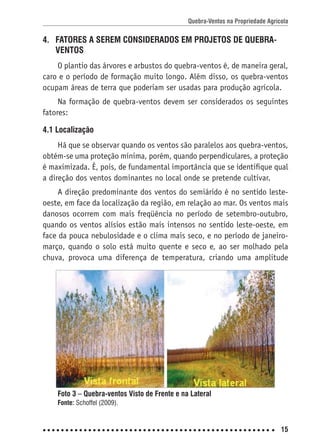 Quebra-Ventos na Propriedade Agrícola
15
4. FATORES A SEREM CONSIDERADOS EM PROJETOS DE QUEBRA-
VENTOS
O plantio das árvores e arbustos do quebra-ventos é, de maneira geral,
caro e o período de formação muito longo. Além disso, os quebra-ventos
ocupam áreas de terra que poderiam ser usadas para produção agrícola.
Na formação de quebra-ventos devem ser considerados os seguintes
fatores:
4.1 Localização
Há que se observar quando os ventos são paralelos aos quebra-ventos,
obtém-se uma proteção mínima, porém, quando perpendiculares, a proteção
é maximizada. É, pois, de fundamental importância que se identiﬁque qual
a direção dos ventos dominantes no local onde se pretende cultivar.
A direção predominante dos ventos do semiárido é no sentido leste-
oeste, em face da localização da região, em relação ao mar. Os ventos mais
danosos ocorrem com mais freqüência no período de setembro-outubro,
quando os ventos alísios estão mais intensos no sentido leste-oeste, em
face da pouca nebulosidade e o clima mais seco, e no período de janeiro-
março, quando o solo está muito quente e seco e, ao ser molhado pela
chuva, provoca uma diferença de temperatura, criando uma amplitude
Foto 3 – Quebra-ventos Visto de Frente e na Lateral
Fonte: Schoffel (2009).
 
