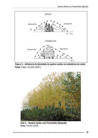 Quebra-Ventos na Propriedade Agrícola
19
Figura 3 – Influência da densidade do quebra-ventos na turbulência do vento
Fonte: Volpe e Schffel (2001).
Foto 5 – Quebra-ventos com Porosidade Adequada
Fonte: Schoffel (2009).
 