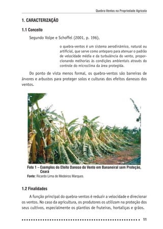 Quebra-Ventos na Propriedade Agrícola
11
1. CARACTERIZAÇÃO
1.1 Conceito
Segundo Volpe e Schoffel (2001, p. 196),
o quebra-ventos é um sistema aerodinâmico, natural ou
artiﬁcial, que serve como anteparo para atenuar o padrão
de velocidade média e da turbulência do vento, propor-
cionando melhorias às condições ambientais através do
controle do microclima da área protegida.
Do ponto de vista menos formal, os quebra-ventos são barreiras de
árvores e arbustos para proteger solos e culturas dos efeitos danosos dos
ventos.
1.2 Finalidades
A função principal do quebra-ventos é reduzir a velocidade e direcionar
os ventos. No caso da agricultura, os produtores os utilizam na proteção dos
seus cultivos, especialmente os plantios de fruteiras, hortaliças e grãos.
Foto 1 – Exemplos do Efeito Danoso do Vento em Bananeiral sem Proteção,
Ceará
Fonte: Ricardo Lima de Medeiros Marques.
 
