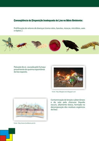 Conseqüência da Disposição Inadequada do Lixo no Meio Ambiente:
Proliferação de vetores de doenças (como ratos, baratas, moscas, micróbios, aves
e répteis.).

Poluição do ar, causada pela fumaça
proveniente da queima espontânea
do lixo exposto.

Fonte: http://blogdocrato.blogspot.com

Contaminação de lençóis subterrâneos
e do solo pelo chorume (liquido
escuro, altamente tóxico, formado na
decomposição dos resíduos orgânicos
do lixo).

Fonte: http://www.kunlaboro.pro.br

 