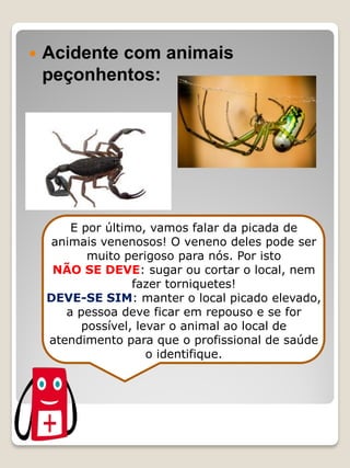 Acidente com animais peçonhentos: 
E por último, vamos falar da picada de animais venenosos! O veneno deles pode ser muito perigoso para nós. Por isto 
NÃO SE DEVE: sugar ou cortar o local, nem fazer torniquetes! 
DEVE-SE SIM: manter o local picado elevado, a pessoa deve ficar em repouso e se for possível, levar o animal ao local de atendimento para que o profissional de saúde o identifique.  
