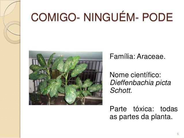 Cartilha Sobre Plantas Toxicas