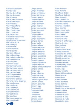 20
Cambucá-verdadeiro
Cambuí-bala
Cambuí-da-restinga
Cambuí-do-campo
Camelo-árabe
Camelo-de-uma-bossa
Camelo-doméstico
Caminhão-baú
Caminhão-cisterna
Caminhão-tanque
Caminho de mesa
Caminho de rato
Camisa de força
Camisa de meia (camiseta)
Camisa-de-meia
(espécie de peixe; espécie de ave)
Camisa de vênus
Camisa-negra
Camisa-verde
Camito-hamítico
Camito-semita
Camocim-felicense
Camomila-catinga
Camomila-dos-alemães
Camomila-romana
Camorim-peba
Camorim-sovela
Campainha-amarela
Campainha-de-canudo
Campainha-do-outono
Campainha-grande
Campina-grandense
Campina-verdense
Campinense-da-lagoa
Campino-monte-alegrense
Campo-alegrense
Campo-altense
Campo-belense
Campo-bonense
Campo-bonitense
Campo-britense
Campo-chave
Campo-compridense
Campo-dobrado
Campo-erense
Campo-floridense
Campo-formosense
Campo-grandense
Campo-imagem
Campo-larguense
Campo-limpense
Campo-maiorense
Campo-meense
Campo-mouranense
Campo-mourense
Campo-nativo
Campo-novense
Campo-objeto
Campo-redondense
Campos-altense
Campo-santo
Campos-belense
Campos-borgense
Campos-elisiense
Campos-geraiense
Campos-geralense
Campos-gonçalense
Campos-jordanense
Campos-joseense
Campos-miguelense
Campos-novense
Campos-novos-paulistense
Campos-salense
Campo-sujo
Campo-valerense
Campo-verdense
Campo-vicentense
Camundongo-do-mato
Camurim-branco
Camurim-corcunda
Camurim-tapa
Camuru-cariri
Camuru-de-cheiro
Cana-brava
Cana-caiana
Cana-da-índia
Cana-de-açúcar
Cana de braço
Cana-de-cheiro
Cana-do-reino
Canafístula-de-boi
Canafístula-do-brejo
Canana-capeta
Cananga-do-japão
Canarana-de-folha-miúda
Canarana-rasteira
Canarana-verdadeira
Cana-reinense
Canarinho-do-mato
Canário-assoviador
Canário-belga
Canário-da-horta
Canário-da-terra
Canário-de-crista-negra
Canário-do-reino
Cana-verdense
Canção-tema
Candeia-de-caramelo
Candeia-do-sertão
Candelária-dos-jardins
Candial-de-grão-escuro
Cândido-abreuense
Cândido-mendense
Cândido-motense
Cândido-rodriguense
Cândido-salense
Candiru-caju
Candiru-vermelho
Candomblé de caboclo
Canela-amarga
Canela-à toa
Canela-da-índia
Canela-de-cheiro
Canela-do-brejo
Caneladura (canelura)
Canela-dura (espécie de planta)
Canela-pimenta
Caneleira-cravo
Caneleira-da-praia
Caneleira-de-ema
Caneleira-do-mato
Caneleirinho-preto
 