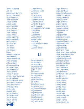 54
Juarez-tavorense
Juá-uva
Juazeirense-do-norte
Juazinho-amarelo
Juçana-bipiiara
Juciri-de-comer
Judeo-alemão
Judeo-árabe
Judeo-brasileiro
Judeo-cristão
Judeo-espanhol
Judeu-alemão
Judeu-cristão
Judeu-espanhol
Judeu-português
Juiz-de-forano
Juiz-do-mato
Juiz-do-rio
Juiz-forano
Juiz-forense
Jujitsu
Juliana-dos-jardins
Juliobrigense
Júlio-mesquitense
Júlio-vernesco
Júlio-verniano
Junça-aromática
Junça-de-cheiro
Junça-pequena
Junco-agreste
Junco-da-praia
Junco-miúdo-do-campo
Jundiá-da-lagoa
Junqueiro-de-bico-reto
Junquilho-do-campo
Junquinha-mansa
Junta-de-cobra
Junta-mole
Jupicaí-mirim
Juqui-de-cerca
Juquiri-arbustivo
Juquiri-manso
Juquiri-rasteiro
Jurará-açu
Jurema-branca
Jurema-da-pedra
Juriti-azul
Juriti-da-mata
Juriti-vermelha
Jurubeba-branca
Jurubeba-brava
Jurubeba-do-pará
Juruti-pequena
Juruviara-norte-americana
Justarticular
Justaspinal
Justatabular
Justavertebral
Justiça-maior
Juta-azul
Juta-de-fruto-comprido
Jutaí-açu
Jutaí-da-várzea
Ll
Lacaio-pequeno
Laceranterior
Laceroanterior
Laceroposterior
Laço-de-amor
Laco-paco
Laços-espanhóis
Lacrau-do-mar
Lacre-branco
Lacre-vermelho
Lá-dentro
Lagarta-de-couve
Lagarta-de-fogo
Lagarta-dos-arrozais
Lagarta-lesma
Lagarta-rosada
Lagartixa-da-areia
Lagartixa-preta
Lagarto-do-mar
Lagoa-azulense
Lagoa-barrense
Lagoa-bonitense
Lagoa-cana-bravense
Lagoa-douradense
Lagoa-grandense
Lagoa-novense
Lagoa-pretense
Lagoa-realense
Lagoa-santense
Lagoa-sequense
Lago-junquense
Lago-mar
Lago-pedrense
Lagosta-americana
Lagosta-comum
Lagosta-d’água-doce
Lagosta-da-pedra
Lagosta-verde
Lago-verdense
Lágrima-de-moça
Lágrima-de-nossa-senhora
Lágrima-de-santa-maria
Lágrimas-de-vênus
Laguna-carapanense
Lajeado-bugrense
Lajeado-grandense
Laje-banquense
Lajedo-baixense
Lajedo-cedrense
Laje-grandense
Lambari-do-rabo-vermelho
Lambari-mirim
Lambari-pintado
Lambda-zero
Lambe-botas
Lambe-lambe
Lambe-olhos
Lambe-pratos
Lambe-sapo
Lambe-sujo
Laminária-digitada
Lâmio-branco
Lampo-branco
Lampreia-dos-rios
 