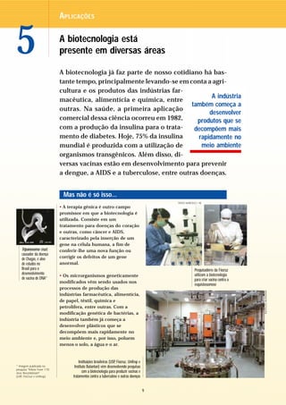 APLICAÇÕES



5                            A biotecnologia está
                             presente em diversas áreas

                             A biotecnologia já faz parte de nosso cotidiano há bas-
                             tante tempo, principalmente levando-se em conta a agri-
                             cultura e os produtos das indústrias far-
                                                                                A indústria
                             macêutica, alimentícia e química, entre
                                                                         também começa a
                             outras. Na saúde, a primeira aplicação
                                                                               desenvolver
                             comercial dessa ciência ocorreu em 1982,      produtos que se
                             com a produção da insulina para o trata-     decompõem mais
                             mento de diabetes. Hoje, 75% da insulina      rapidamente no
                             mundial é produzida com a utilização de        meio ambiente
                             organismos transgênicos. Além disso, di-
                             versas vacinas estão em desenvolvimento para prevenir
                             a dengue, a AIDS e a tuberculose, entre outras doenças.


                              Mas não é só isso...
                                                                                               TASSO MARCELO / AE
                             • A terapia gênica é outro campo
                             promissor em que a biotecnologia é
                             utilizada. Consiste em um
                             tratamento para doenças do coração
                             e outras, como câncer e AIDS,
                             caracterizado pela inserção de um
                             gene na célula humana, a fim de
    Tripanossoma cruzi,      conferir-lhe uma nova função ou
    causador da doença
    de Chagas, é alvo        corrigir os defeitos de um gene
    de estudos no            anormal.
    Brasil para o                                                                                          Pesquisadores da Fiocruz
    desenvolvimento                                                                                        utilizam a biotecnologia
                             • Os microrganismos geneticamente
    de vacina de DNA*                                                                                      para criar vacina contra a
                             modificados vêm sendo usados nos
                                                                                                           esquistossomose
                             processos de produção das
                                                                                                                                        INSTITUTO BUTANTAN




                             indústrias farmacêutica, alimentícia,
                             de papel, têxtil, química e
                             petrolífera, entre outras. Com a
                             modificação genética de bactérias, a
                             indústria também já começa a
                             desenvolver plásticos que se
                             decompõem mais rapidamente no
                             meio ambiente e, por isso, poluem
                             menos o solo, a água e o ar.


                                       Instituições brasileiras (USP, Fiocruz, Unifesp e
* Imagem publicada na               Instituto Butantan) vêm desenvolvendo pesquisas
pesquisa "Yellow Fever 17D
virus Recombinant"                        com a biotecnologia para produzir vacinas e
(USP, FioCruz e Unifesp)           tratamentos contra a tuberculose e outras doenças


                                                                                           9
 