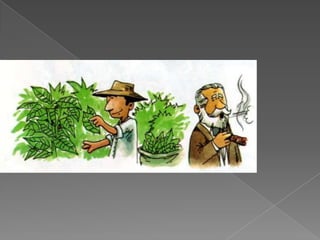 Se confirman las deudas y rentas adquiridas en la Nueva Granada y Confederación Granadina.La constitución de RionegroDurante la vigencia de la Constitución de Rionegro, el gobierno del Gral. Eustorgio Salgar, dio un manejo interesante a las finanzas y destinó los ingresos del impuesto del tabaco y café, al sector de la educación, produciendo importantes y efectivas reformas en esta, dirigidas por el pedagogo Dámaso Zapata. La educación hasta ese momento corría por cuenta de los impuesto departamentales, pero luego pasó a ser atendida por los impuestos nacionales.