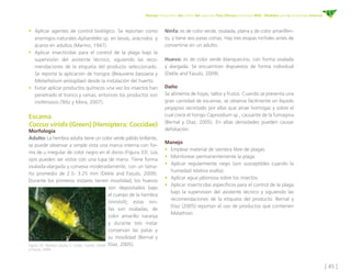 cartilla-aguacate-ICA-Final - PALTA.pdf