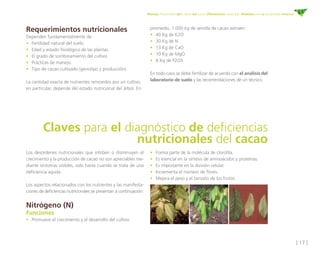 [ 17 ]
Manejo fitosanitario del cultivo del cacao (Theobroma cacao L.) - Medidas para la temporada invernal
Claves para el diagnóstico de deficiencias
nutricionales del cacao 
Requerimientos nutricionales
Dependen fundamentalmente de:
•	 Fertilidad natural del suelo.
•	 Edad y estado fisiológico de las plantas.
•	 El grado de sombreamiento del cultivo.
•	 Prácticas de manejo.
•	 Tipo de cacao cultivado (genotipo y producción).
La cantidad exacta de nutrientes removidos por un cultivo,
en particular, depende del estado nutricional del árbol. En
promedio, 1.000 kg de semilla de cacao extraen:
•	 40 Kg de K2O
•	 30 Kg de N
•	 13 Kg de CaO
•	 10 Kg de MgO
•	 8 Kg de P2O5
En todo caso se debe fertilizar de acuerdo con el análisis del
laboratorio de suelo y las recomendaciones de un técnico.  
Los desórdenes nutricionales que inhiben o disminuyen el
crecimiento y la producción de cacao no son apreciables me-
diante síntomas visibles, solo hasta cuando se trata de una
deficiencia aguda.
Los aspectos relacionados con los nutrientes y las manifesta-
ciones de deficiencias nutricionales se presentan a continuación: 
Nitrógeno (N)
Funciones
•	 Promueve el crecimiento y el desarrollo del cultivo.
•	 Forma parte de la molécula de clorofila.
•	 Es esencial en la síntesis de aminoácidos y proteínas.
•	 Es importante en la división celular.  
•	 Incrementa el número de flores.
•	 Mejora el peso y el tamaño de los frutos.
 