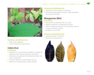 [ 21 ]
Manejo fitosanitario del cultivo del cacao (Theobroma cacao L.) - Medidas para la temporada invernal
Síntomas de deficiencias
•	 Tallos cortos y delgados.
•	 Clorosis intervenal en hojas jóvenes.
Cobre (Cu)
Funciones
•	 Importante en el control de la humedad en los tejidos de
la planta y en el crecimiento del tallo y de las hojas.
•	 Interviene en los procesos de fecundación de flores, foto-
síntesis y respiración.
•	 Promueve resistencia a enfermedades (taninos).
•	 Deficiente en suelos arenosos y suelos lixiviados.
Síntomas de deficiencias
•	 Exceso de P y de N ocasionan su deficiencia. 
•	 Deficiencias severas producen clorosis y muerte descendente
de los brotes terminales.
Manganeso (Mn)
Funciones
•	 Importante en la asimilación del P, Ca, y Mg.
•	 Regula la respiración y la maduración de frutos.
•	 Vital en la síntesis de clorofila y en la fotosíntesis móvil en
el suelo e inmóvil en la planta.
•	 Antagónico con el hierro.
Síntomas de deficiencias
•	 Clorosis intervenal  con el cloro.
•	 Quemazón en hojas jóvenes.
 