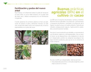 [ 32 ]
Manejo fitosanitario del cultivo del cacao (Theobroma cacao L.) - Medidas para la temporada invernal
Fertilización y podas del nuevo
árbol
Para finalizar, es fundamental realizar la poda de formación
al nuevo árbol, la cual se debe empezar con la poda total
del árbol viejo y deberá acompañarse de una fertilización
nitrogenada.
Cuando aparezcan los primeros pepinos se hará una apli-
cación de potasio al suelo y elementos menores. En todo
caso, el agricultor debe contar con la asesoría de un técnico
especializado en el cultivo del cacao.
Buenas prácticas
agrícolas (BPA) en el
cultivo de cacao
Las BPA son el conjunto de principios, normas y recomen-
daciones técnicas aplicables a la producción, procesamiento
y transporte de alimentos, orientadas a la protección de la
higiene, la salud humana y el medio ambiente. Todo ello por
métodos ecológicamente seguros, higiénicamente acepta-
bles y económicamente factibles.
Para que el cacao producido sea saludable, se recomienda el
uso de abonos orgánicos y de biopreparados. Esto es hacer
el menor uso de agroquímicos; solo emplearlos en caso de
ser indispensable y preferir las categorías toxicológicas más
bajas de dichos productos, para que así no se contamine el
medio ambiente.
Por esto, las BPA son indispensables. Además permiten:
•	 Estar preparados para entrar a mercados exigentes y tener
mejor acceso en un futuro.
 