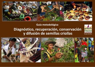 Diagnóstico, recuperación, conservación
y difusión de semillas criollas
Guía metodológica
Grupo Semillas
 