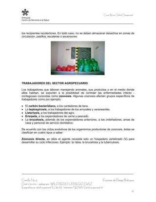 Curso Bá sico Salud Ocupacional
Antioquia
Centro de Servicios a la Salud




los recipientes recolectores. En todo caso, no se deben almacenar desechos en zonas de
circulación, pasillos, escaleras o ascensores.




TRABAJADORES DEL SECTOR AGROPECUARIO

Los trabajadores que laboran manejando animales, sus productos o en el medio donde
ellos habitan, se exponen a la posibilidad de contraer las enfermedades infecto -
contagiosas conocidas como zoonosis. Algunas zoonosis afectan grupos específicos de
trabajadores como por ejemplo:

•   El carbón bacteridiano, a los cardadores de lana.
•   La leptospirosis, a los trabajadores de los arrozales y veraneantes.
•   Listeriosis, a los trabajadores del agro.
•   Erisipela, a los expendedores de carne y pescado.
•   La brucelosis, además de los expendedores anteriores, a los ordeñadores, amas de
    casa y personal de servicio doméstico.

De acuerdo con los ciclos evolutivos de los organismos productores de zoonosis, éstas se
clasifican en cuatro tipos a saber:

Zoonosis directa, en ellas el agente necesita solo un hospedero vertebrado (V) para
desarrollar su ciclo infeccioso. Ejemplo: la rabia, la brucelosis y la tuberculosis.




Cartilla No 9                                                                      Factores de Riesgo Bioló gicos
Diseñ o té cnico – pedagó gico, WILFREDO URREGO DIAZ
Especialista en salud ocupacional (U de A), Instructor SENA Salud ocupacional 16
                                                                                                                16
 