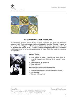Curso Bá sico Salud Ocupacional
Antioquia
Centro de Servicios a la Salud




                                 RIESGOS BIOLÓGICOS DE TIPO VEGETAL

Se consideran plantas tóxicas todos aquellos vegetales que producen trastornos
fisiológicos, por medio del contacto, consumo o ingestión, al inhibir, modificar o impedir un
proceso normal del organismo. Entonces, muchas son las plantas vegetales que abundan
en el campo que pueden llegar a causar accidentes entre los trabajadores por ignorancia
o desconocimiento de las características tóxicas de ellas. Entre ellas podemos mencionar
las siguientes:

                                      Plantas tóxicas

                                      ♦ Los hongos o setas. Ejemplos de estos son: el
                                        amanita muscarinica, el hongo de la boñiga, entre
                                        otros.
                                      ♦ Gran variedad de almendras
                                      ♦ Las hortensias

                                      Plantas productoras de dermatitis alérgica

                                      ♦ El manzanillo de tierra fría y el manzanillo costeño
                                      ♦ Pringamoza
                                      ♦ La corona de espinas




Cartilla No 9                                                                      Factores de Riesgo Bioló gicos
Diseñ o té cnico – pedagó gico, WILFREDO URREGO DIAZ
Especialista en salud ocupacional (U de A), Instructor SENA Salud ocupacional 19
                                                                                                                19
 