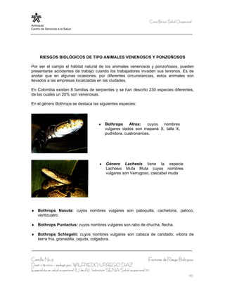 Curso Bá sico Salud Ocupacional
Antioquia
Centro de Servicios a la Salud




      RIESGOS BIOLÓGICOS DE TIPO ANIMALES VENENOSOS Y PONZOÑOSOS

Por ser el campo el hábitat natural de los animales venenosos y ponzoñosos, pueden
presentarse accidentes de trabajo cuando los trabajadores invaden sus terrenos. Es de
anotar que en algunas ocasiones, por diferentes circunstancias, estos animales son
llevados a las empresas localizadas en las ciudades.

En Colombia existen 8 familias de serpientes y se han descrito 230 especies diferentes,
de las cuales un 20% son venenosas.

En el género Bothrops se destaca las siguientes especies:




                                             ♦    Bothrops     Atrox:    cuyos nombres
                                                  vulgares dados son mapaná X, talla X,
                                                  pudridora, cuatronarices.




                                              ♦   Género Lachesis tiene la especie
                                                  Lachesis Muta Muta cuyos nombres
                                                  vulgares son Verrugoso, cascabel muda




♦ Bothrops Nasuta: cuyos nombres vulgares son patoquilla, cachetona, patoco,
  venticuatro.

♦ Bothrops Puntactus: cuyos nombres vulgares son rabo de chucha, flecha.

♦ Bothrops Schlegelii: cuyos nombres vulgares son cabeza de candado, víbora de
  tierra fría, granadilla, cejuda, colgadora.




Cartilla No 9                                                                  Factores de Riesgo Bioló gicos
Diseñ o té cnico – pedagó gico, WILFREDO URREGO DIAZ
Especialista en salud ocupacional (U de A), Instructor SENA Salud ocupacional 20
                                                                                                                20
 