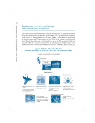 14
                                                                            Ecosistemas, recursos y poblaciones
Amenazas, riesgos, vulnerabilidad y adaptación frente al cambio climático




                                                                            más amenazadas y vulnerables

                                                                            Las amenazas climáticas debido al aumento de los gases de efecto invernadero
                                                                            son cada vez mayores. Se estima que para el año 2100, en el escenario pesimista
                                                                            (A1FI del IPCC, véase Nakicénovic & Swart, 2000), a nivel global se aumentará
                                                                            la concentración del CO2 atmosférico en un 350% frente a la época preindustrial
                                                                            (cuando se observaba una concentración de cerca de 280 partes por millón de
                                                                            volumen). En este escenario el aumento de la temperatura media del aire y los
                                                                            cambios en otras variables del clima serían bastante marcados. (Véase figura 6.).

                                                                                            Figura 6. Impactos del cambio climático
                                                                               (Tomado y modificado de Rekacewicz, PNUMA /GRID-Arendal, 2000)

                                                                                                            Impactos potenciales del cambio climático


                                                                                                                   Temperatura
                                                                                                                                                  Precipitación
                                                                                                                        Aumento del nivel
                                                                                                                           del mar




                                                                                                                             Impactos sobre...

                                                                                 Salud                       Agricultura                       Bosques                   Recurso hídrico




                                                                             Mortalidad relacionada con   Rendimiento de cultivos          Composición de los bosques      Abastecimiento de agua
                                                                             el clima                     Demandas para riego              Rango geográfico de los         Calidad del agua
                                                                             Enfermedades infecciosas                                      bosques                         Competencia por el agua
                                                                             Enfermedades respiratorias                                    Salud y productividad
                                                                             por calidad del aire

                                                                                  Áreas costeras                                              Especies y áreas naturales
                                                                                                          Erosión de playas                                             Pérdida de hábitats y
                                                                                                          Inundación de tierras costeras                                especies
                                                                                                          Gastos adicionales para la                                    Criosfera: disminución de los
                                                                                                          protección de comunidades                                     glaciares
                                                                                                          costeras
 