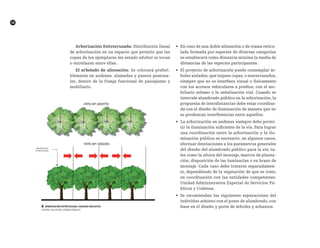 38
Arborización Entrecruzada: Distribución lineal
de arborización en un espacio que permite que las
copas de los ejemplares (en estado adulto) se tocan
o entrelazan entre ellas.
El arbolado de alineación: Se colocará preferi-
blemente en andenes, alamedas y paseos peatona-
les, dentro de la franja funcional de paisajismo y
mobiliario.
•	 En caso de una doble alineación o de trama reticu-
lada formada por especies de diversas categorías
se establecerá como distancia mínima la media de
distancias de las especies participantes.
•	 El proyecto de arborización puede contemplar ár-
boles aislados,que toquen copas,o entrecruzados,
siempre que no se interfiera visual o físicamente
con los accesos vehiculares a predios, con el mo-
biliario urbano o la señalización vial. Cuando se
intercale alumbrado público en la arborización, la
propuesta de interdistancias debe estar coordina-
da con el diseño de iluminación de manera que no
se produzcan interferencias entre aquellos.
•	 La arborización en andenes siempre debe permi-
tir la iluminación suficiente de la vía. Para lograr
una coordinación entre la arborización y la ilu-
minación pública es necesario, en algunos casos,
efectuar desviaciones a los parámetros generales
del diseño del alumbrado público para la vía, ta-
les como la altura del montaje, marcos de planta-
ción, disposición de las luminarias o su brazo de
montaje. Cada caso debe tratarse separadamen-
te, dependiendo de la vegetación de que se trate,
en coordinación con las entidades competentes:
Unidad Administrativa Especial de Servicios Pú-
blicos y Codensa.
•	 Se recomiendan las siguientes separaciones del
individuo arbóreo con el poste de alumbrado, con
base en el diseño y porte de árboles y arbustos:██ Arborización entrecruzada. Esquema Indicativo.
FUENTE: TALLER DEL ESPACIO PÚBLICO
 