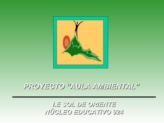 PROYECTO “AULA AMBIENTAL”

      I.E SOL DE ORIENTE
    NÚCLEO EDUCATIVO 924
 