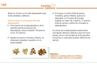 Revise en la fosa y en el café despulpado para
evitar pérdidas y defectos.
¿Cómo hacer la evaluación del café
despulpado?
Tome granos de la despulpadora y de la
zaranda durante el proceso de
despulpado, hasta completar 100 gramos
(unos 167 granos).
Separe los granos mordidos, trillados, sin
despulpar, guayabas y aquellos con la
pulpa pegada.
Si el peso o número total de granos
mordidos, granos trillados, granos sin
despulpar o con parte de la pulpa
pegada, es mayor de 4 gramos (7 granos),
revise la camisa y calibre de inmediato la
despulpadora.
La camisa de la despulpadora experimenta
más rápido deterioro debido a que los frutos
verdes, secos y las semillas de frutos grandes
(monstruos y caracoles) pueden deformar los
dientes.
Defectos:
a)Granos mordidos; b)Granos trillados;
c)Pulpa pegada; d)Frutos sin despulpar.
160
 