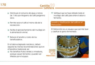 Disminuye el consumo de agua a menos
de 1 litro por kilogramo de café pergamino
seco.
Permite secar el café el mismo día de la
recolección.
Facilita el aprovechamiento del mucílago en
la alimentación animal.
Reduce el tamaño y costo de los
beneficiaderos.
En el desmucilaginado mecánico, deben
seguirse las mismas recomendaciones que en
el beneficio tradicional, así:
No beneficie frutos verdes o inmaduros,
porque causan fermento y pueden ser
trillados por el equipo.
Verifique que se haya retirado todo el
mucílago del café para evitar el sabor a
fermento.
Lavado y clasificación del café en el
Hidrociclón
El Hidrociclón es un equipo que permite lavar
y clasificar el grano fermentado.
Lavado
del café
con el
Hidrociclón
170
 