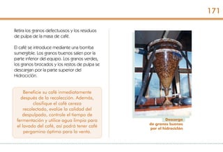 Descarga
de granos buenos
por el hidrociclón
Retira los granos defectuosos y los residuos
de pulpa de la masa de café.
El café se introduce mediante una bomba
sumergible. Los granos buenos salen por la
parte inferior del equipo. Los granos verdes,
los granos brocados y los restos de pulpa se
descargan por la parte superior del
Hidrociclón.
Beneficie su café inmediatamente
después de la recolección. Además,
clasifique el café cereza
recolectado, evalúe la calidad del
despulpado, controle el tiempo de
fermentación y utilice agua limpia para
el lavado del café, así podrá tener café
pergamino óptimo para la venta.
171
 