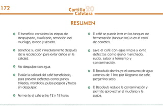 El beneficio considera las etapas de
despulpado, clasificado, remoción del
mucílago, lavado y secado.
Beneficie su café inmediatamente después
de la recolección para evitar daños en la
calidad.
No despulpe con agua.
Evalúe la calidad del café beneficiado,
para prevenir defectos como granos
trillados, mordidos, pulpa pegada y frutos
sin despulpar.
Fermente el café entre 12 y 18 horas.
El café se puede lavar en los tanques de
fermentación (tanque tina) o en el canal
de correteo.
Lave el café con agua limpia y evite
defectos como grano manchado,
sucio, sabor a fermento y
contaminación.
El Becolsub disminuye el consumo de agua
a menos de 1 litro por kilogramo de café
pergamino seco.
El Becolsub reduce la contaminación y
permite aprovechar el mucílago y la
pulpa.
RESUMEN
172
 