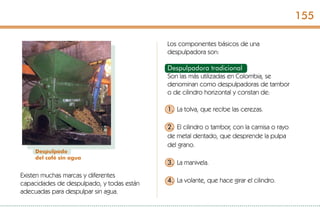 Existen muchas marcas y diferentes
capacidades de despulpado, y todas están
adecuadas para despulpar sin agua.
Despulpado
del café sin agua
Los componentes básicos de una
despulpadora son:
Despulpadora tradicional
Son las más utilizadas en Colombia, se
denominan como despulpadoras de tambor
o de cilindro horizontal y constan de:
1. La tolva, que recibe las cerezas.
2. El cilindro o tambor, con la camisa o rayo
de metal dentado, que desprende la pulpa
del grano.
3. La manivela.
4. La volante, que hace girar el cilindro.
155
 