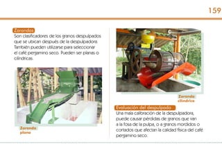 Zarandas
Son clasificadores de los granos despulpados
que se ubican después de la despulpadora.
También pueden utilizarse para seleccionar
el café pergamino seco. Pueden ser planas o
cilíndricas.
Zaranda
plana
Zaranda
cilíndrica
Evaluación del despulpado
Una mala calibración de la despulpadora,
puede causar pérdidas de granos que van
a la fosa de la pulpa, o a granos mordidos o
cortados que afectan la calidad física del café
pergamino seco.
159
 