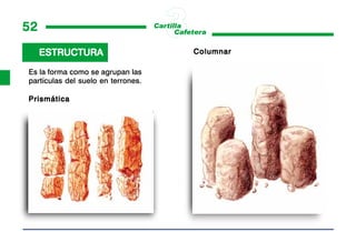 52
     ESTRUCTURA                     Columnar

Es la forma como se agrupan las
partículas del suelo en terrones.

Prismática
 