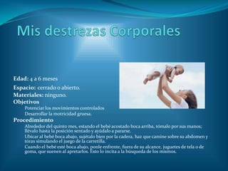 Edad: 4 a 6 meses
Espacio: cerrado o abierto.
Materiales: ninguno.
Objetivos
    Potenciar los movimientos controlados
    Desarrollar la motricidad gruesa.
Procedimiento
    Alrededor del quinto mes, estando el bebé acostado boca arriba, tómalo por sus manos;
    llévalo hasta la posición sentado y ayúdalo a pararse.
    Ubicar al bebé boca abajo, sujétalo bien por la cadera, haz que camine sobre su abdomen y
    tórax simulando el juego de la carretilla.
    Cuando el bebé esté boca abajo, ponle enfrente, fuera de su alcance, juguetes de tela o de
    goma, que suenen al apretarlos. Esto lo incita a la búsqueda de los mismos.
 