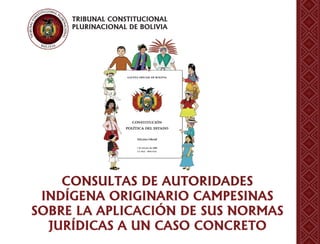 TRIBUNAL CONSTITUCIONAL
PLURINACIONAL DE BOLIVIA
CONSULTAS DE AUTORIDADES
INDÍGENA ORIGINARIO CAMPESINAS
SOBRE LA APLICACIÓN DE SUS NORMAS
JURÍDICAS A UN CASO CONCRETO
 