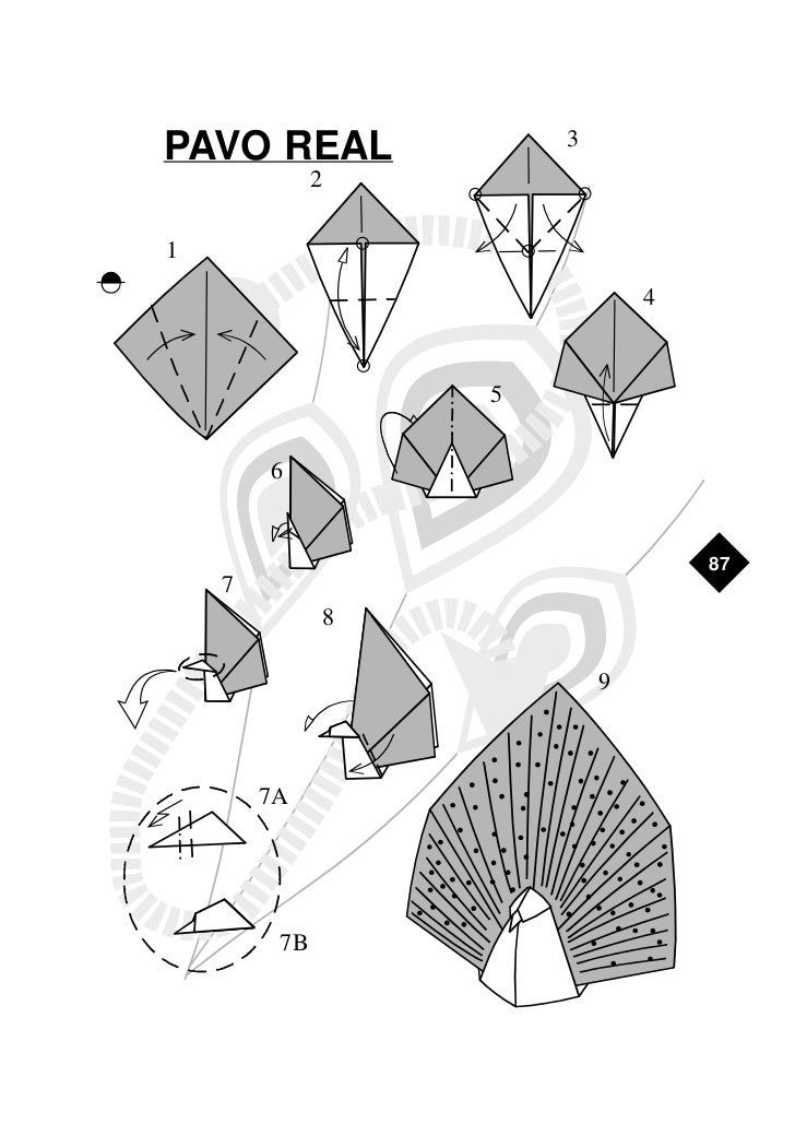 Cartilla De Plegados